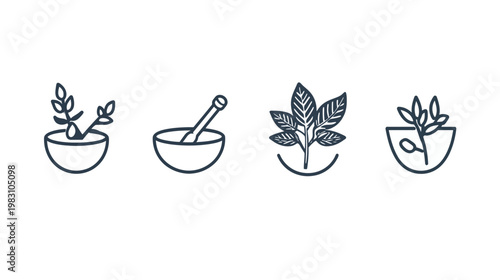 Four simple, stylized illustrations of botanical elements, including plants and herbal tools, on a white background