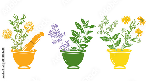 Colorful botanical illustration of herbs and flowers in pots with varying shapes and shades