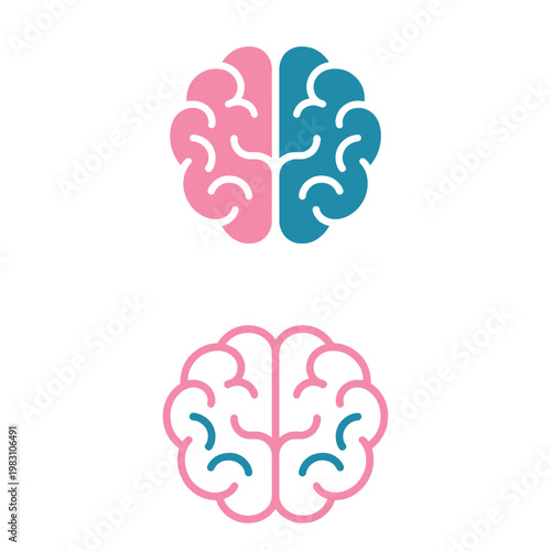 Split brain hemispheres illustrated with color differentiation