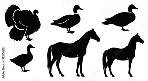Farm Animals Silhouettes: Turkey, Duck, and Horse Vector Collection
