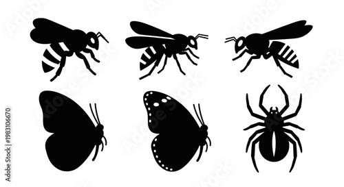 Insect and bug silhouettes set: bee, butterfly, and spider icons for nature design