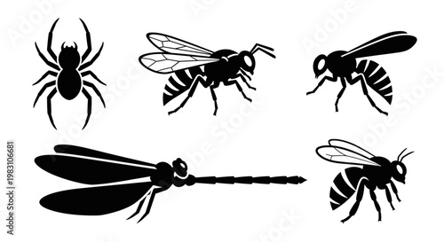 Insect and Spider Silhouettes Set: Bee, Wasp, Dragonfly, and Arachnid Icons