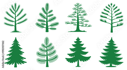 Diverse illustrations of different types of evergreen trees and coniferous tree silhouettes