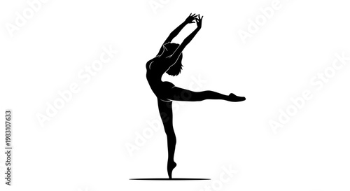 Elegant Silhouette of a Ballerina in a Graceful Pose.