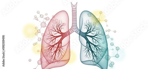 Human Lungs with Molecular Structures Illustration for Respiratory Health and Medical Research