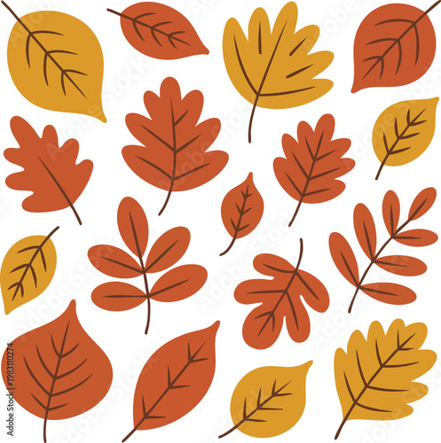 Hand-Drawn Autumn Leaves Vector Set