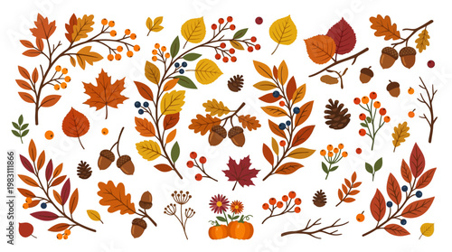 Autumn Leaves and Forest Elements Collection.