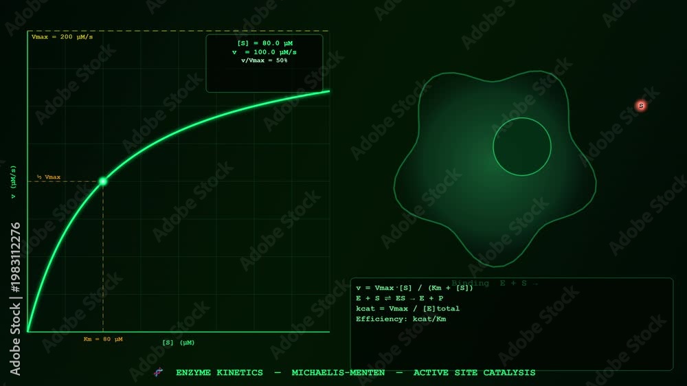 custom made wallpaper toronto digitalDynamic Enzyme Kinetics representation in beautiful 4K 3D animation, ideal for educational science backgrounds.