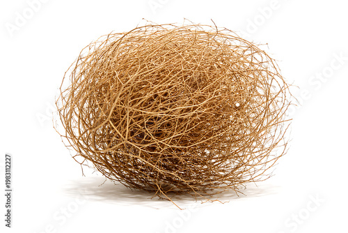 Dry tumbleweed ball isolated on white background