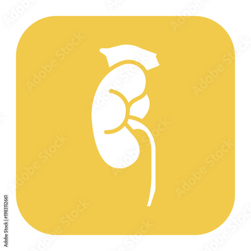Adrenal Glands Icon