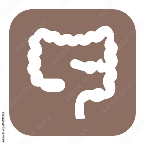 Large Intestine Icon