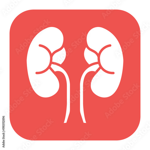 Kidneys Icon