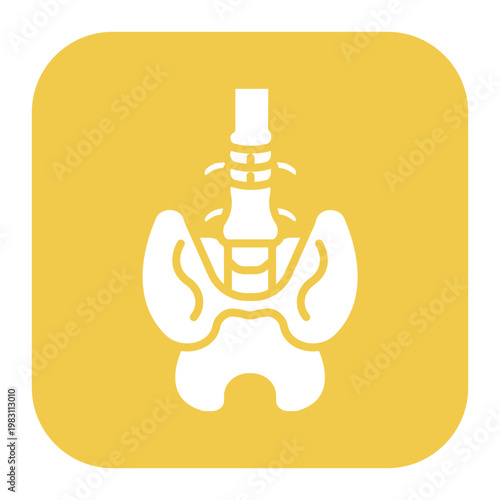 Pelvis Icon