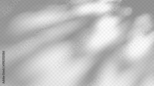 Abstract shadow overlay isolated on transparent background. Dappled light texture on wall surface with soft diffused effect