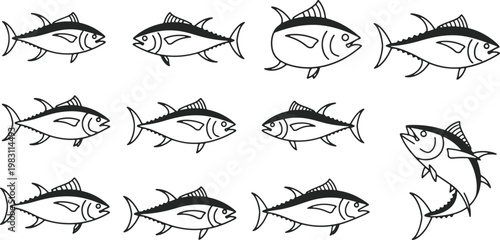 Diverse illustrations of tuna fish in various orientations and styles