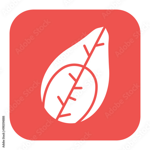 Fotografie Silk Cocoon Icon