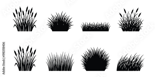Black grass silhouette set with 8 vector elements, marsh reed and cattail plant icons, wild meadow tufts and swamp vegetation for landscape design
