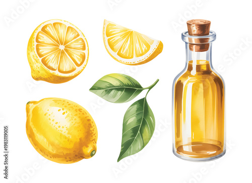Natural lemon and citrus oil elements with slice leaf and glass bottle watercolor illustration. 