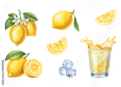 Fresh lemon fruit set with blossom slices and iced citrus drink watercolor illustration.
