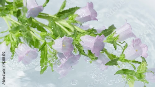 Light purple flowers with green stems in water