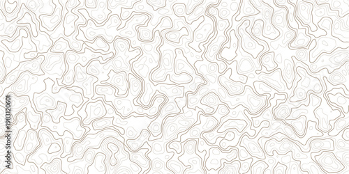 Brown topographic map lines on white background for design and texture  geographic illustration