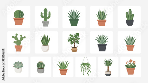 Variety of Potted Cacti and Succulents.