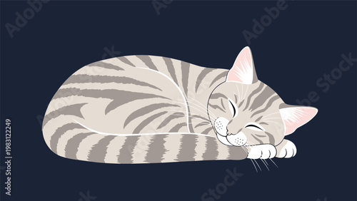 Adorable grey striped tabby cat sleeps peacefully while curled up against a dark background in a calm environment.