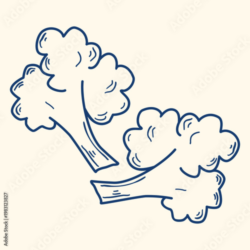 Broccoli, hand drawn blue ink clip art. Doodle style cauliflower florets. Healthy organic food, nutritional product. Vector graphic.