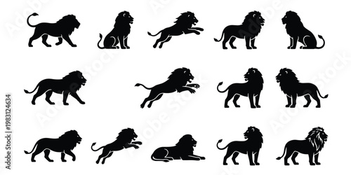 Photography Lion silhouette vector set, majestic wild cat icons in various poses, 14 black a