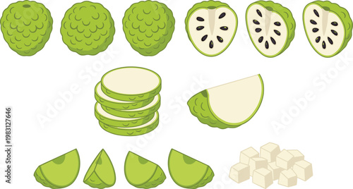 Custard Apple Whole, Halved, Sliced, and Cubed Pieces Vector Illustration Set Showing Different Cutting Styles for Tropical Food Design, Packaging, and Ingredient Presentation