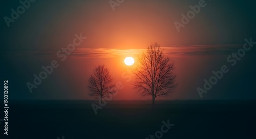 A serene landscape of two bare trees at sunset on a field