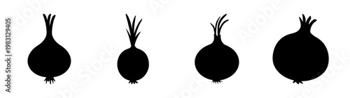 four fresh whole black onions with roots isolated on white background
