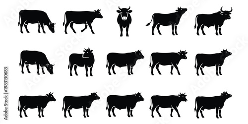 Black cow silhouette collection, 15 cattle vector icons in various poses, farm animal bull and heifer shapes for agriculture branding and dairy logos
