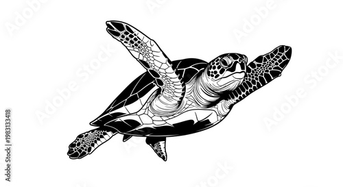 Sea Turtle Illustration, Marine Life, Ocean Animal, Underwater Wildlife