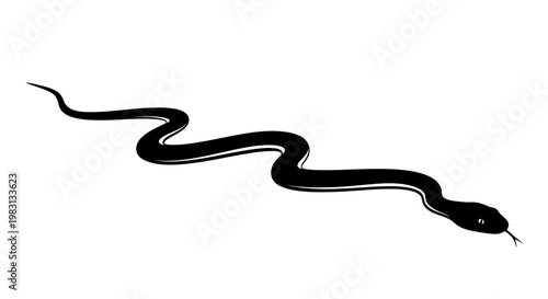 Black Snake Slithering Silhouette on White Background, Reptile Wildlife