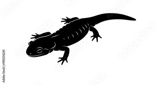 Black Salamander Silhouette illustration isolated on white background, amphibian reptile reptile