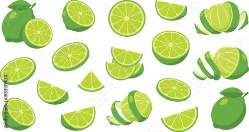 Lime Vector Collection with Whole Fruits, Halves, Slices and Wedges Isolated on Background for Citrus, Fresh Juice, Tropical and Food Design Projects