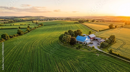 Sweeping lush green agricultural fields arranged in perfect rows lead to a classic farmhouse with a blue roof under warm golden sunlight.