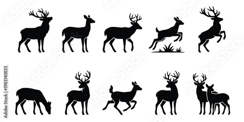 Deer silhouette vector collection, 10 wild stag and doe animal icons, black forest reindeer and buck shapes for hunting and nature design