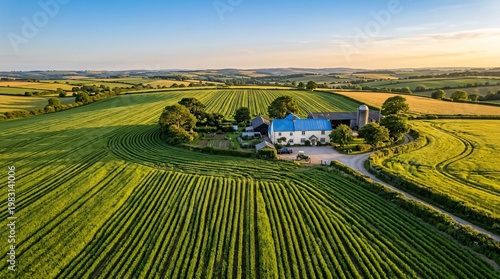 Sweeping lush green agricultural fields arranged in perfect rows lead to a classic farmhouse with a blue roof under warm golden sunlight.