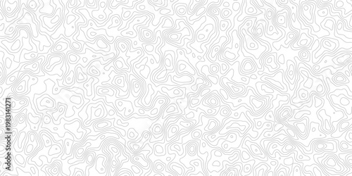 Gray topographic map contour lines on white background pattern texture
