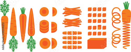 Carrot Vector Set with Whole Vegetables, Slices, Cubes, Julienne and Spiral Cuts Isolated on Background for Cooking, Food Preparation and Healthy Design Projects