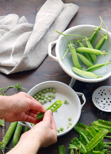 Anonymous person shelling fresh organic green peas into ceramic bowl on wooden table. Close-up shot features hands opening pea pod highlighting seasonal harvest and healthy farm-to-table nutrition