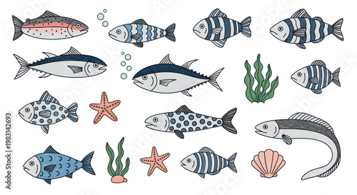 Hand drawn set of various fish, starfish, seaweed, and shell for marine life and aquatic animal concept. Vector illustration