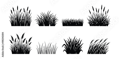 Black grass silhouette collection, 8 vector marsh reed and meadow plant elements, wild swamp vegetation icons for landscape design