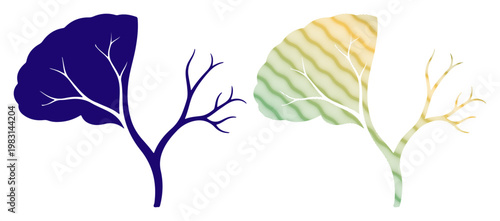 Abstract representation of a tree with a dark blue half and a gradient green yellow half