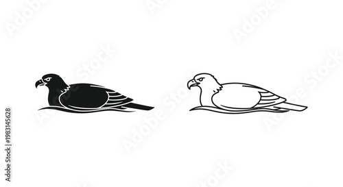 Black and White Bird Silhouette Designs Vector