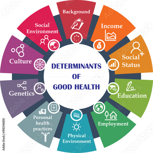 Determinants of good health infographic with twelve key lifestyle factors.  
Professional circular chart outlining social and biological health drivers.