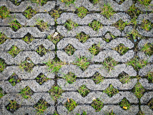 Porous driveway paving stones with an interlocking grey grid pattern, combined with clumps of wild green grass and organic textures in a weathered concrete honeycomb geometric pattern.