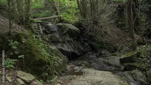 Forest rocks stream flowing water dark fresh moss trees nature mountain